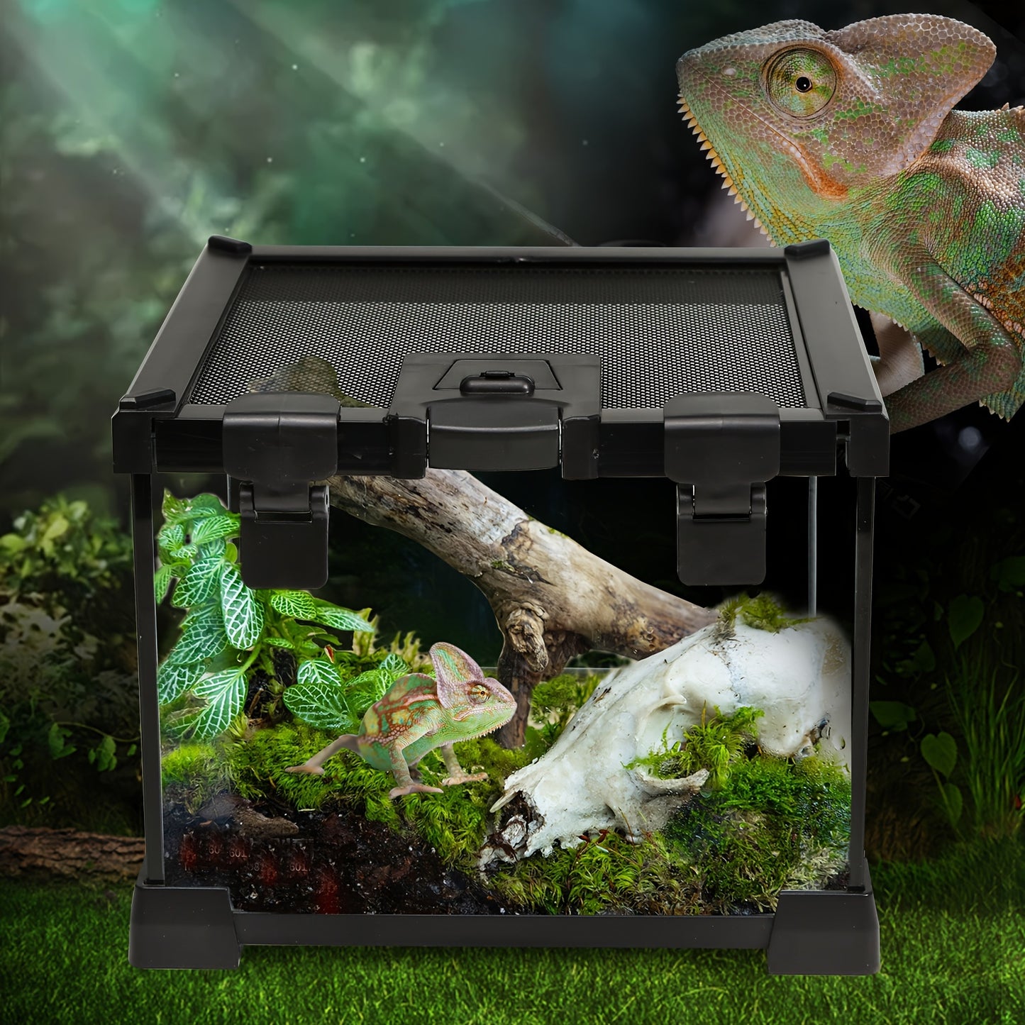 1pc Amphibious Reptile Terrarium, Glass Breeding Tank with Metal Mesh Cover for Lizards, Frogs, Spiders, Snakes - Rectangle Shape, Uncharged, Suitable for Various Species, Insectivore Tank|Ventilated Reptile Home|Ecosystem Di