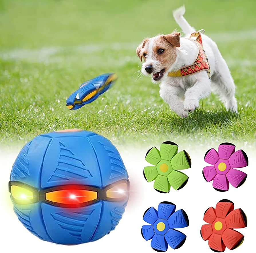 Dog Frisbee  "led"