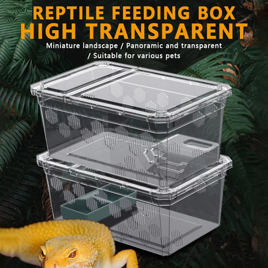 Reptile Breeding Feeding Box Transparent  Insect Rearing Hatching Containers Habitat Cage Inverts,Hatchling colubrids