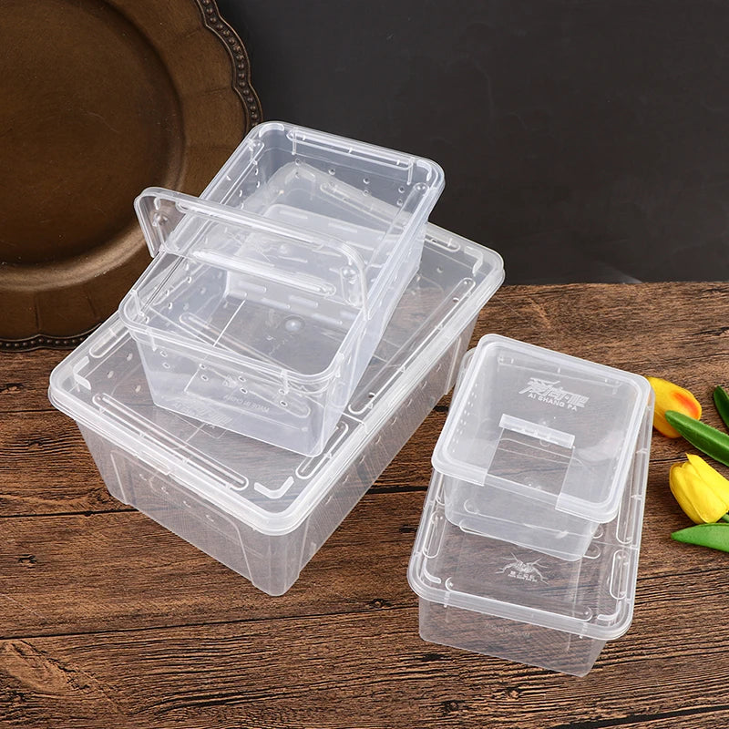 1PC Clear Transparent Reptile Spider Breeding Feeding Box Insect Rearing Hatching Containers for Frogs Small Animals Supplie