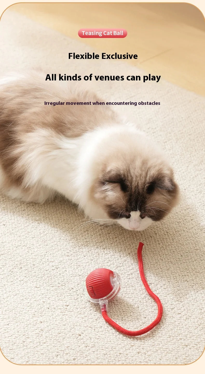 Rechargeable Cat Toys Interactive Smart Pet Interaction Automatic Rolling Ball Toy Accessories for Cats Electric Dog Ball Things