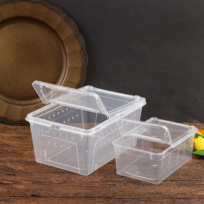 1PC Clear Transparent Reptile Spider Breeding Feeding Box Insect Rearing Hatching Containers for Frogs Small Animals Supplie