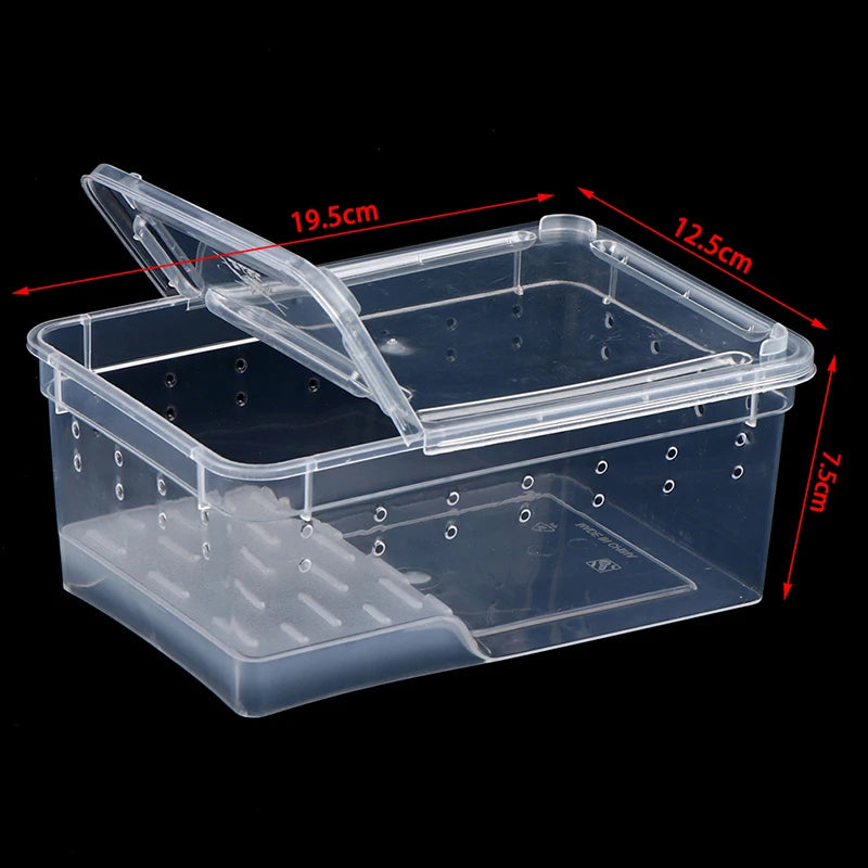 1PC Clear Transparent Reptile Spider Breeding Feeding Box Insect Rearing Hatching Containers for Frogs Small Animals Supplie