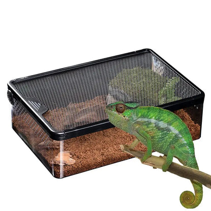 Reptile Acrylic Transparent Breeding Box Insect Spider Lizard Scorpion  Anti-escape Cage Arboreal Enclosure Habitat Reptiles Box