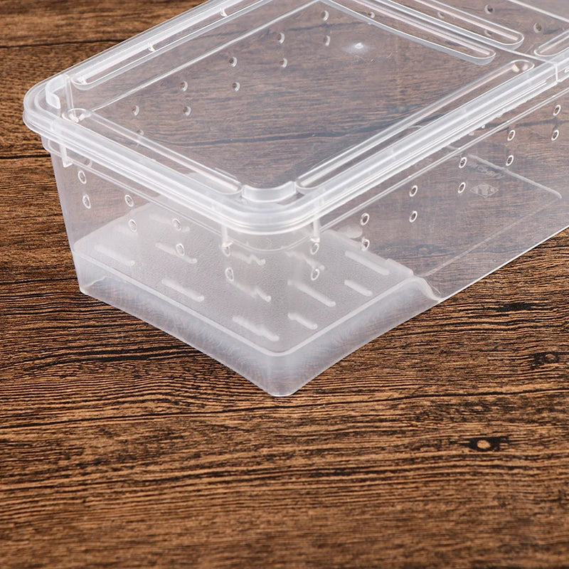 1PC Clear Transparent Reptile Spider Breeding Feeding Box Insect Rearing Hatching Containers for Frogs Small Animals Supplie