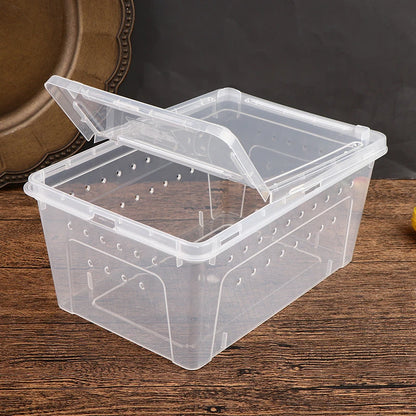 1PC Clear Transparent Reptile Spider Breeding Feeding Box Insect Rearing Hatching Containers for Frogs Small Animals Supplie