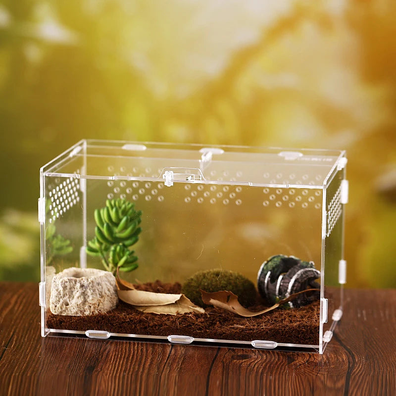 Reptile Breeding Box Acrylic Turtle Spider Lizard Acrylic Transparent Insect Breathable Acrylic Box Breeding Nest