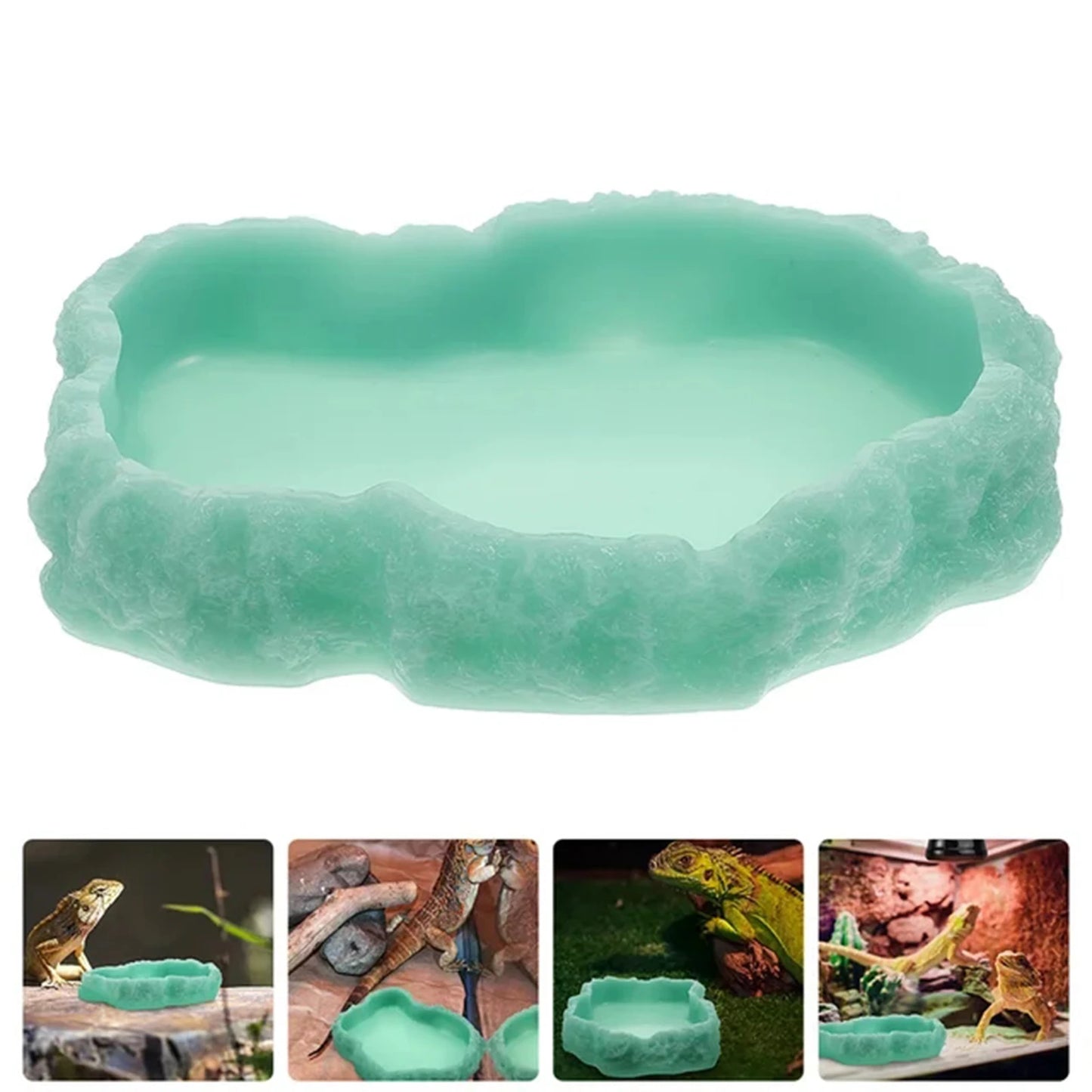 Reptile Water Bowls Terrarium Plate Reptile Feeder Amphibian Feeding Bowl for Frog Chameleon Tortoise Bearded Dragon Turtle