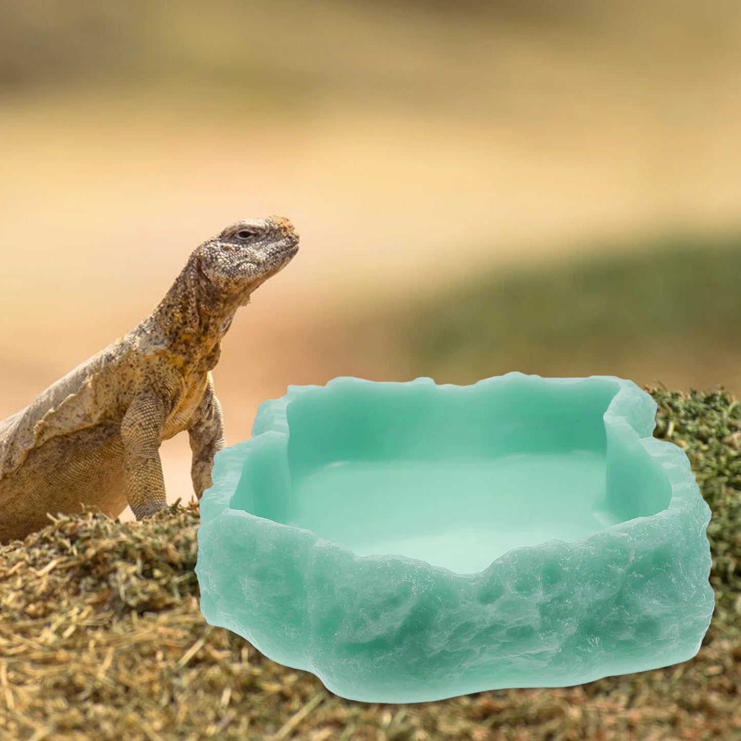 Reptile Water Bowls Terrarium Plate Reptile Feeder Amphibian Feeding Bowl for Frog Chameleon Tortoise Bearded Dragon Turtle