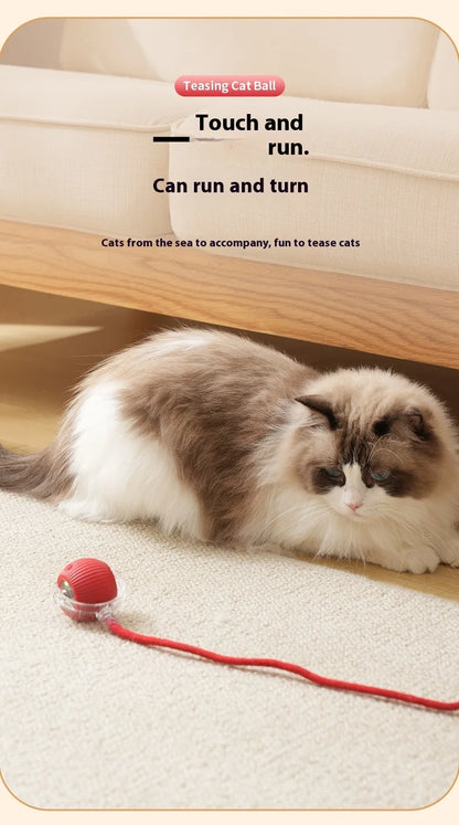 Rechargeable Cat Toys Interactive Smart Pet Interaction Automatic Rolling Ball Toy Accessories for Cats Electric Dog Ball Things