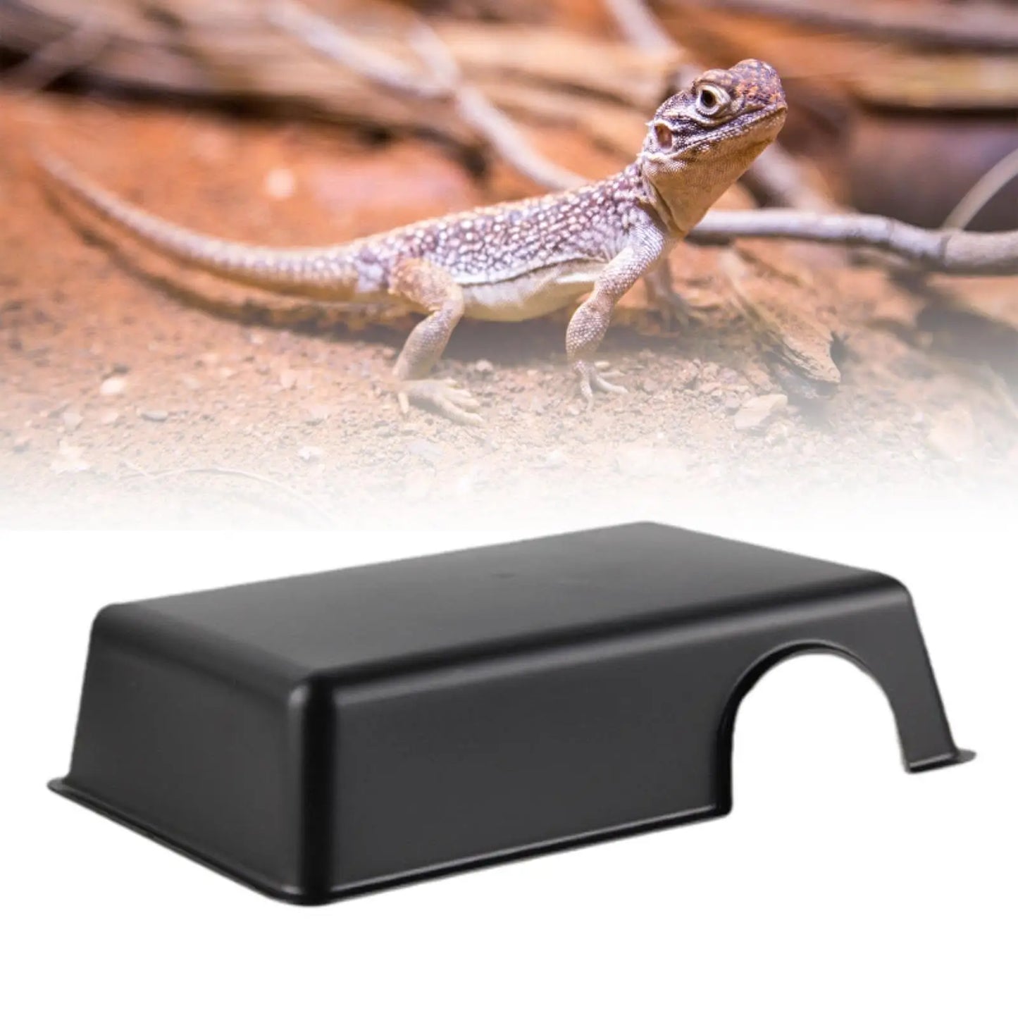 Reptile Hide Box Gecko /snake Hideout and Cave