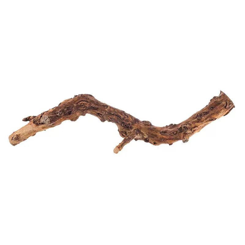 Natural Wood Branch Crawling Pet Hiding Climbing Material, Decor Rainforest Tank Scenery Dry Pomegranate Wood