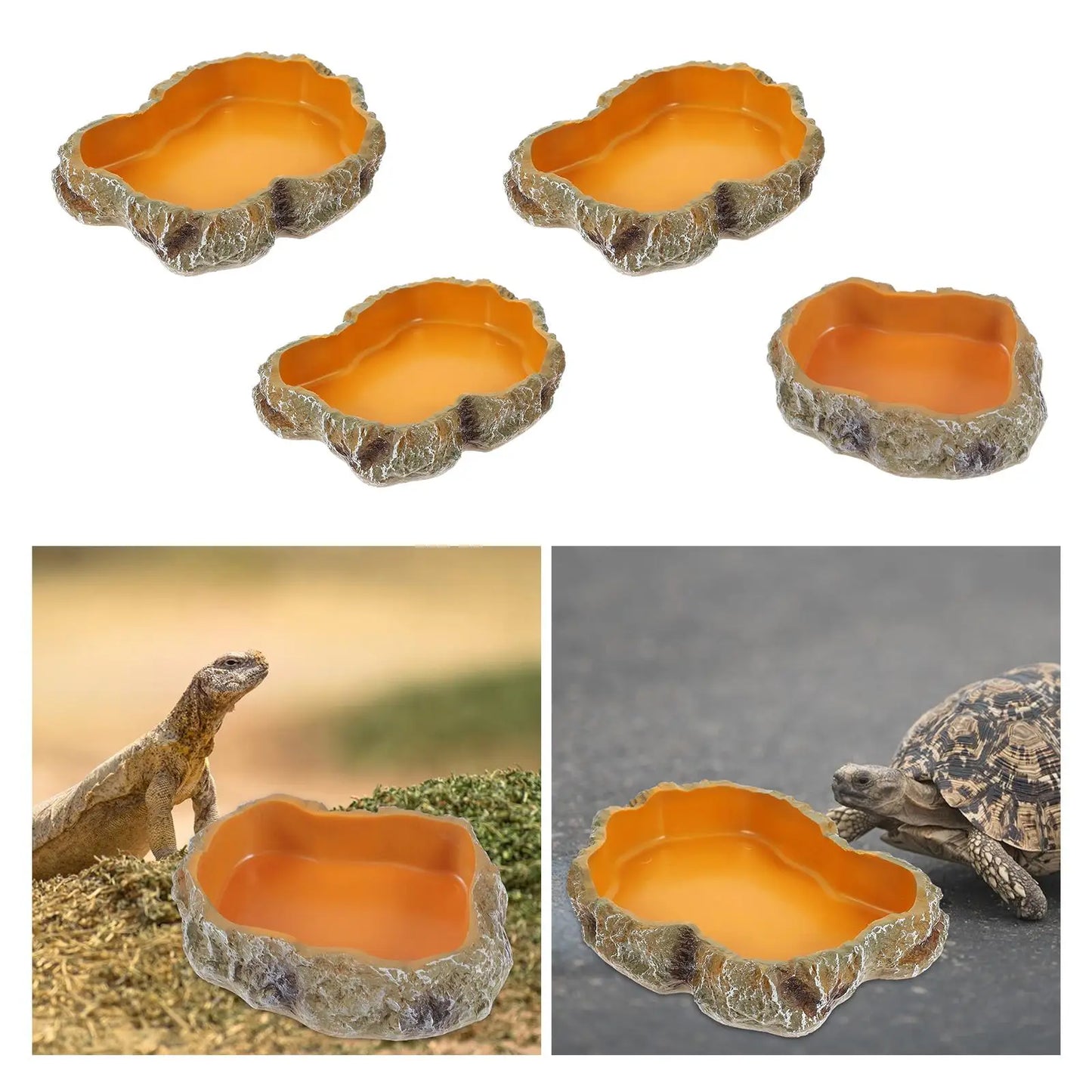 Reptile Water Bowls Terrarium Plate Reptile Feeder Amphibian Feeding Bowl for Frog Chameleon Tortoise Bearded Dragon Turtle