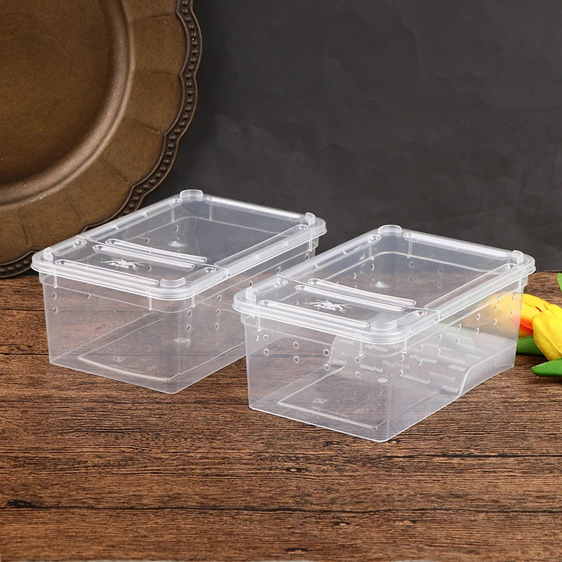 1PC Clear Transparent Reptile Spider Breeding Feeding Box Insect Rearing Hatching Containers for Frogs Small Animals Supplie