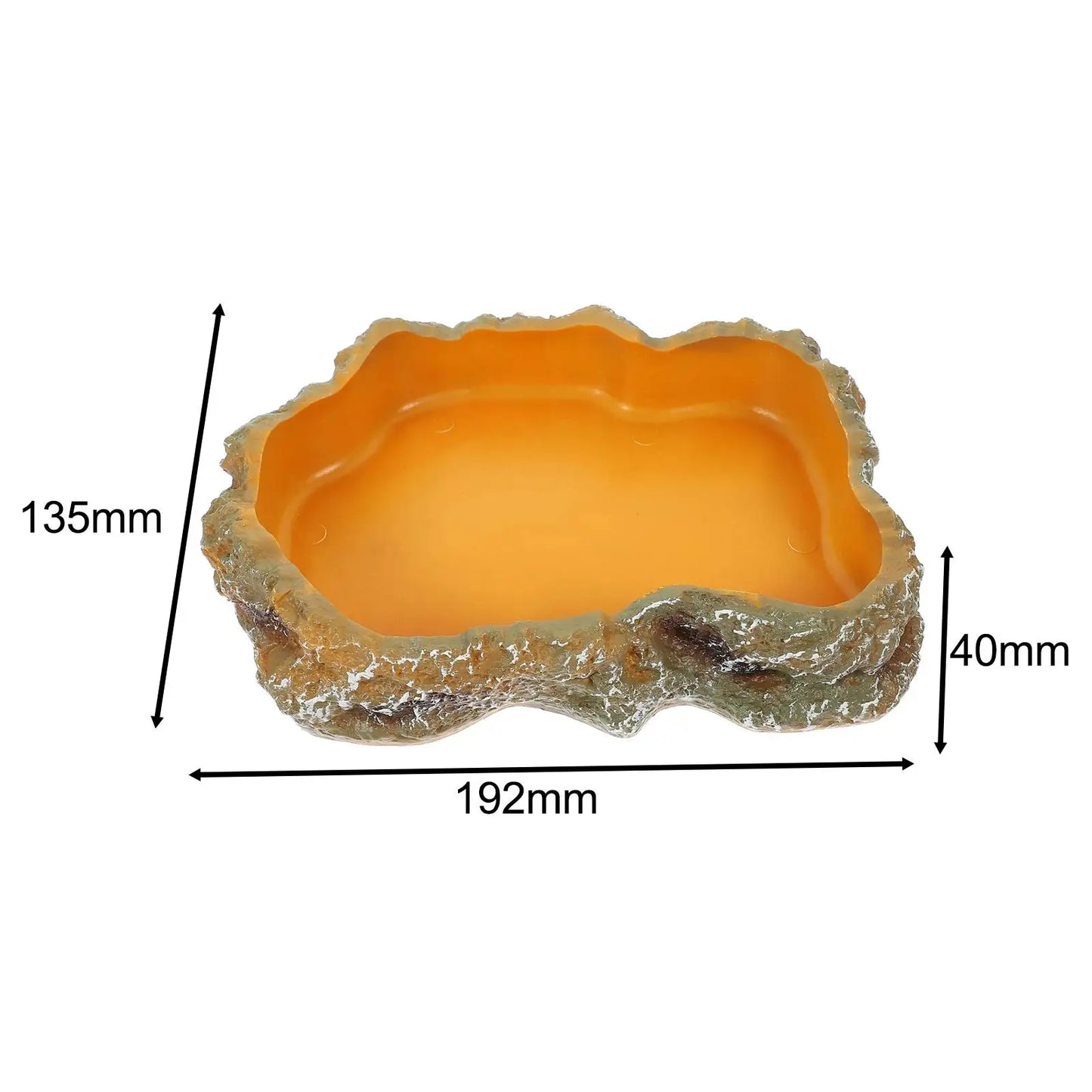 Reptile Water Bowls Terrarium Plate Reptile Feeder Amphibian Feeding Bowl for Frog Chameleon Tortoise Bearded Dragon Turtle