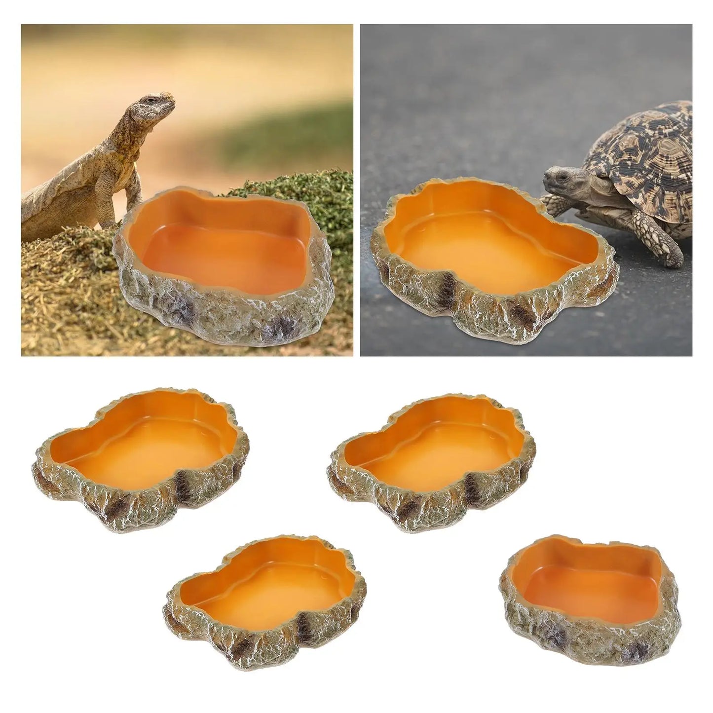 Reptile Water Bowls Terrarium Plate Reptile Feeder Amphibian Feeding Bowl for Frog Chameleon Tortoise Bearded Dragon Turtle