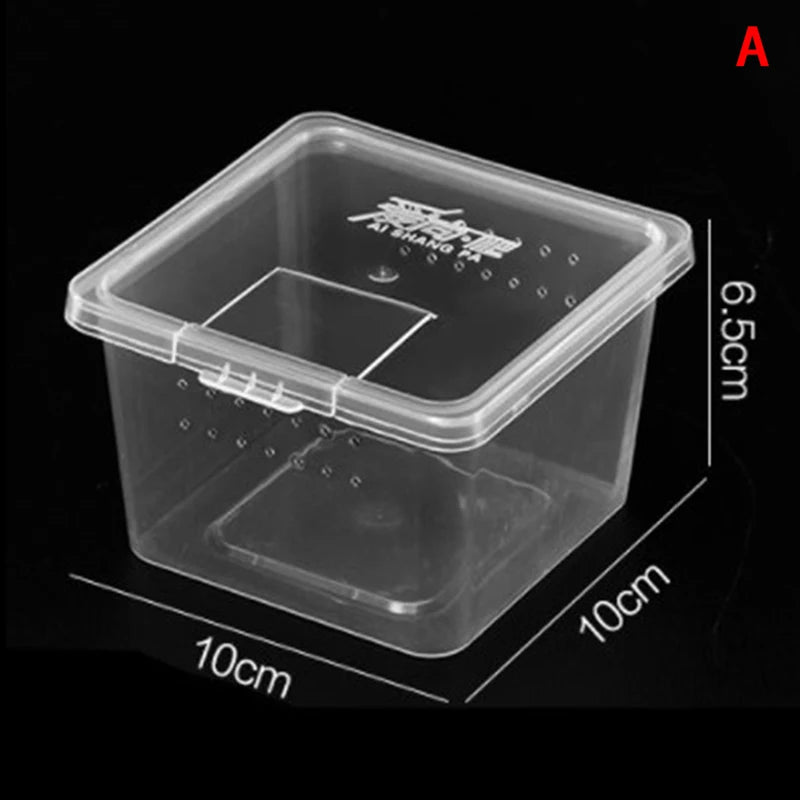 1PC Clear Transparent Reptile Spider Breeding Feeding Box Insect Rearing Hatching Containers for Frogs Small Animals Supplie