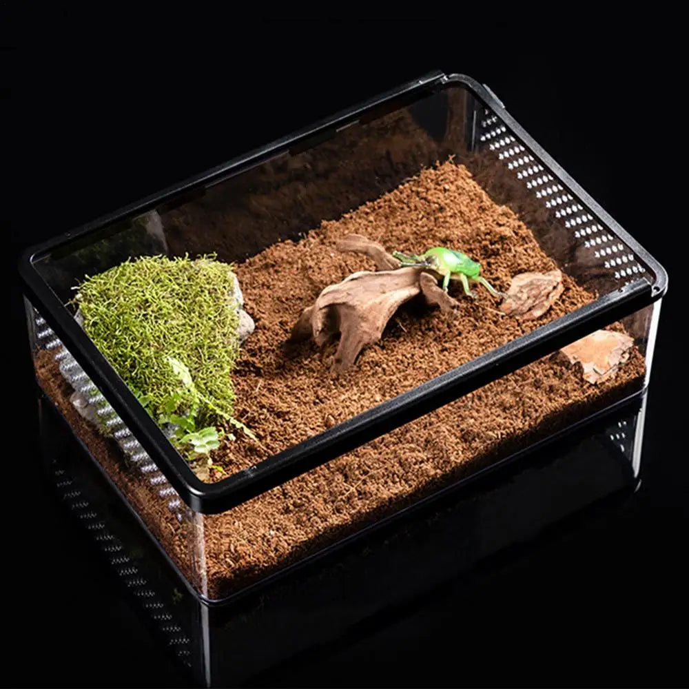 Reptile Acrylic Transparent Breeding Box Insect Spider Lizard Scorpion  Anti-escape Cage Arboreal Enclosure Habitat Reptiles Box